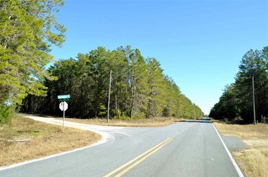 000 Sea Meadows Dr, Keaton Beach, FL 32348 - photo 3