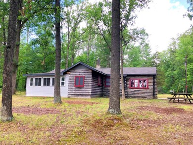 232 W Lincoln St, Brohman, MI 49312 - photo 7