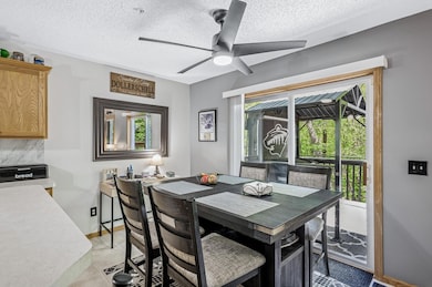 441 Pleasant Ln, Chaska, MN 55318 - photo 5