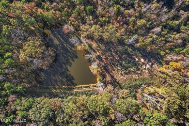 DJI_0345