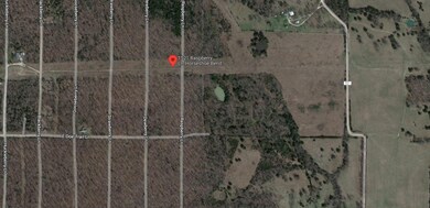 1521 Raspberry Ln, Horseshoe Bend, AR 72512 - photo 4