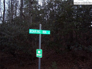 Tbd Roaring Ridge Rd, Deep Gap, NC 28618 - photo 4