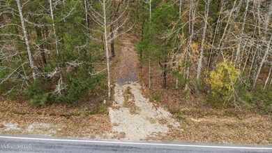 7 Wall Hill Rd Lot, Byhalia, MS 38611 - photo 3