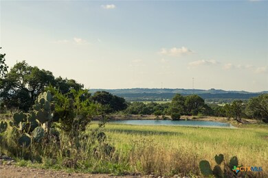 938 Lindeman Ln, Blanco, TX 78606 - photo 7