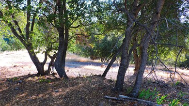 0 7 1 Ac Fieldbrook Estates Dr unit 16-3404, Redding, CA 96003 - photo 7