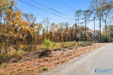 234 Brentwood Ln, Madison, AL 35758 - photo 6