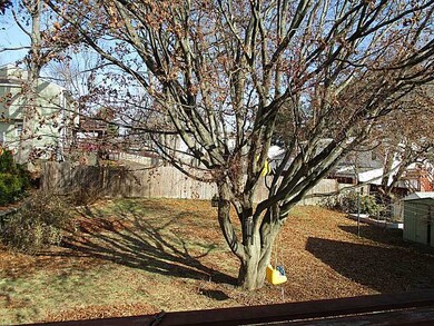 Yard/Garden.