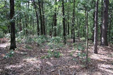 398 S 620 Rd, Jay, OK 74346 - photo 4