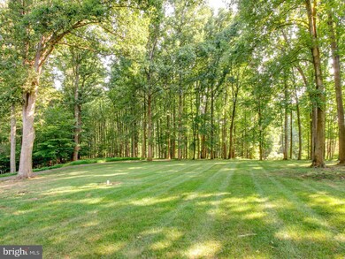 6704 Cedar View Ct, Clifton, VA 20124 - photo 5