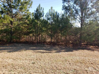 0 Stillwater Ln unit 13 385461, Double Springs, AL 35553 - photo 2