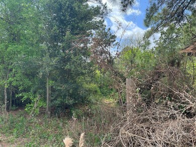 0 Kimball Ln, Hockley, TX 77447 - photo 2