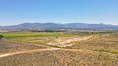 DJI_0233