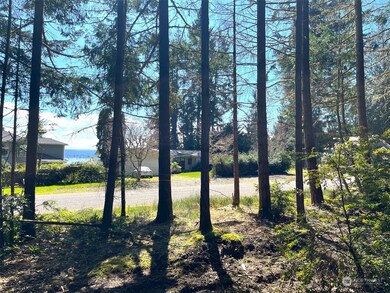 10228 Totem Way, Anderson Island, WA 98303 - photo 3