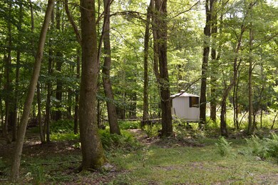 333 Goose Pond Rd, Lake Ariel, PA 18436 - photo 3