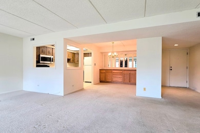 650 Whitney Ct unit 108, Gurnee, IL 60031 - photo 5