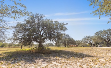 1304 County Road 777, Devine, TX 78016 - photo 4