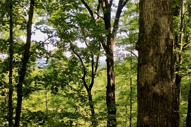 0 Pummill Rd, Fayetteville, AR 72701 - photo 5