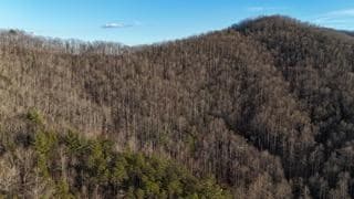 528 Early Deitz Rd, Sylva, NC 28779 - photo 7