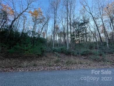 TBD Yates Ln unit 116, Lake Lure, NC 28746 - photo 3