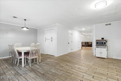 1740 Maplecrest Dr, Louisville, TN 37777 - photo 6