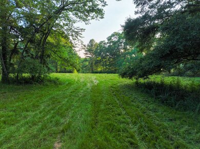 0 Howells Cove Rd unit 24364400, Talladega, AL 35160 - photo 6