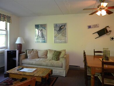 28 Packard Rd unit 332, Waterville Valley, NH 03215 - photo 2