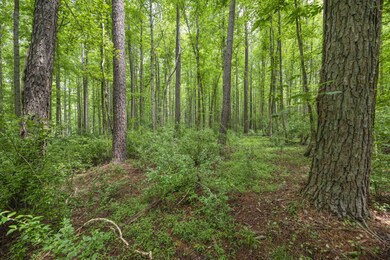 2624 Old Graham Rd, Pittsboro, NC 27312 - photo 6