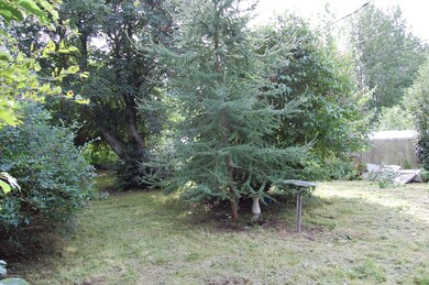 6920 E 11th Ave, Anchorage, AK 99504 - photo 6