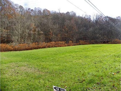 Yard/Garden.