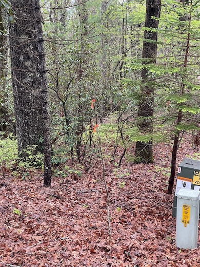 Lot 11 Cherokee Trace, Lake Toxaway, NC 28747 - photo 2