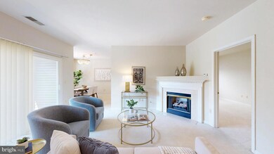 11337 Westbrook Mill Ln unit 201, Fairfax, VA 22030 - photo 3