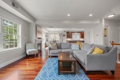 218 South St unit 3, Waltham, MA 02453 - photo 6