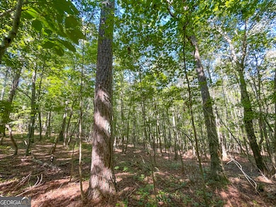 34 + - Acre On Ga Hwy 337, Lafayette, GA 30728 - photo 5