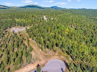 Lot 9 Other unit Meadow Wood Way, Lead, SD 57754 - photo 7