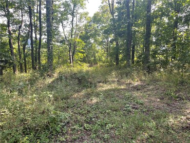 0 Hazel Valley Rd unit 1255082, Elkins, AR 72727 - photo 7