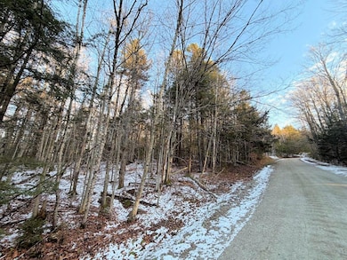 311 Beechwood Ln, Peru, VT 05152 - photo 3