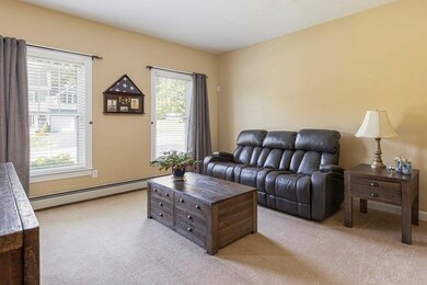 14 Brookmeadow Ln, Grafton, MA 01560 - photo 5
