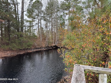 0 Boyd Lake Rd, Hamlet, NC 28345 - photo 2