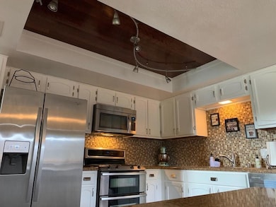 Kitchen with stainless steel appliances, white ca