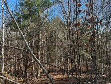 Lot 138 Pennmaric Rd, Augusta, ME 04330 - photo 6