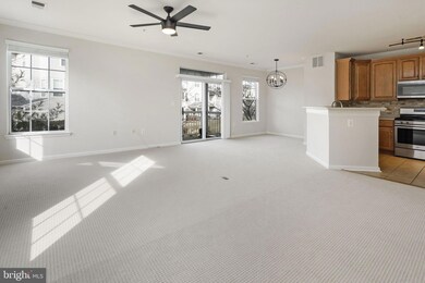 13046 Cabin Creek Rd unit 13046, Herndon, VA 20171 - photo 6