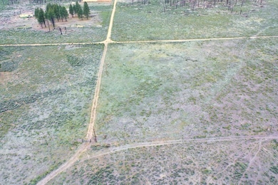 Ruffled Grouse Ln, Chiloquin, OR 97624 - photo 4