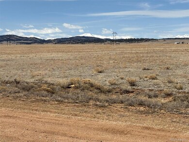 6600 Routt Rd, Hartsel, CO 80449 - photo 6
