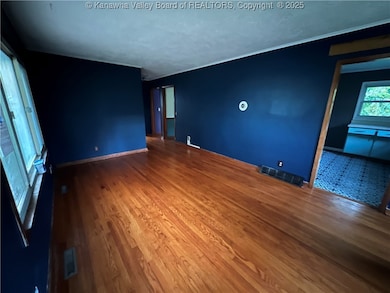 130 Moran Ave, Dunbar, WV 25064 - photo 3