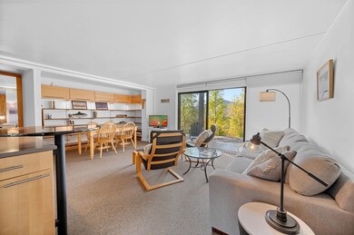 1309 Notchbrook Rd unit 5APT, Stowe, VT 05672 - photo 7