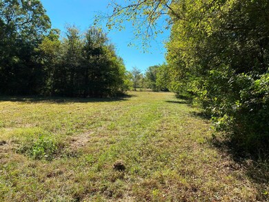 37 Us Hwy 69 Hwy, Bells, TX 75414 - photo 5