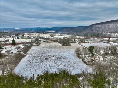 0 Conkrite Rd, Cayuta, NY 14824 - photo 2