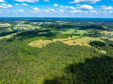 Off Hwy 230, Cave City, AR 72521 - photo 6