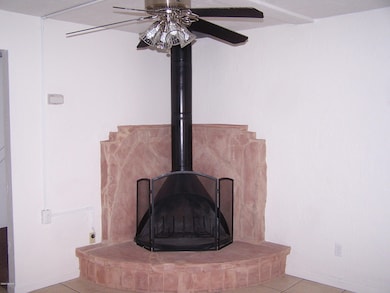 Fireplace in LR