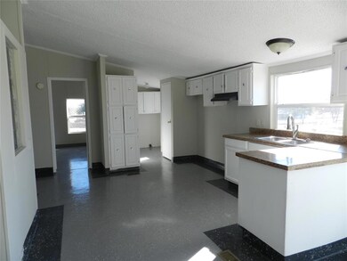 101 Little Salty Ct, Springtown, TX 76082 - photo 7